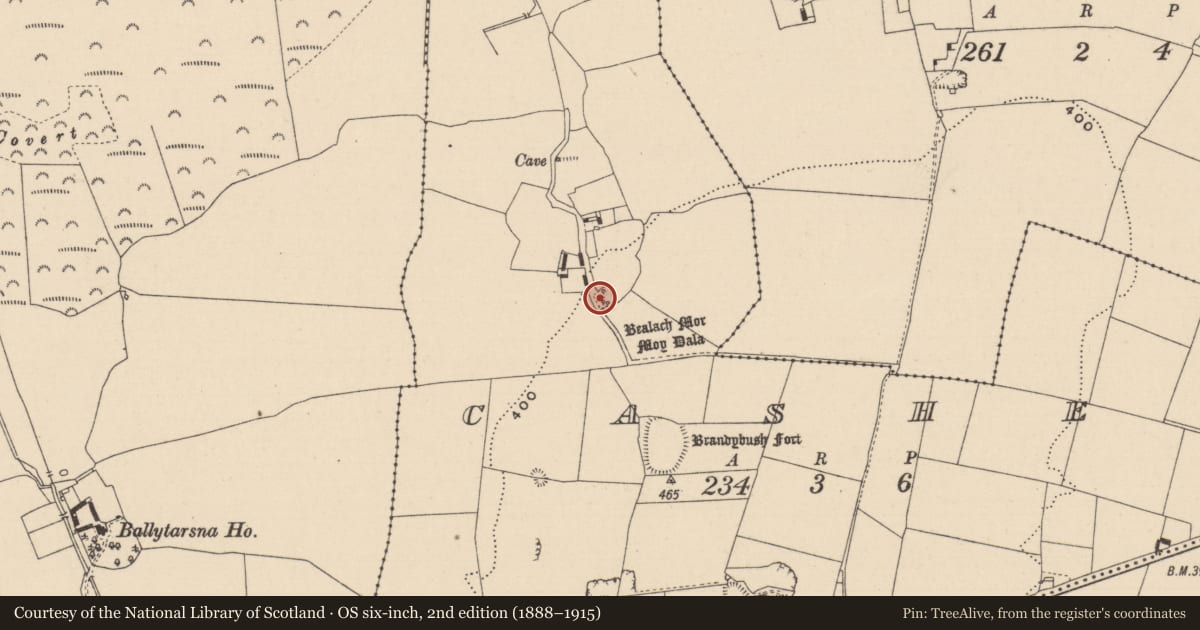Ordnance Survey six-inch map, 2nd edition (1888–1915) covering the location of Graveyard, Cashel, County Laois, with a pin at the register's coordinates