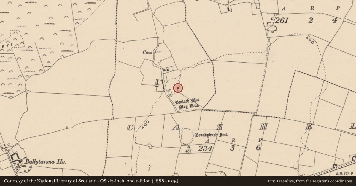 Ordnance Survey six-inch map, 2nd edition (1888–1915) covering the location of Ecclesiastical enclosure, Cashel, County Laois, with a pin at the register's coordinates