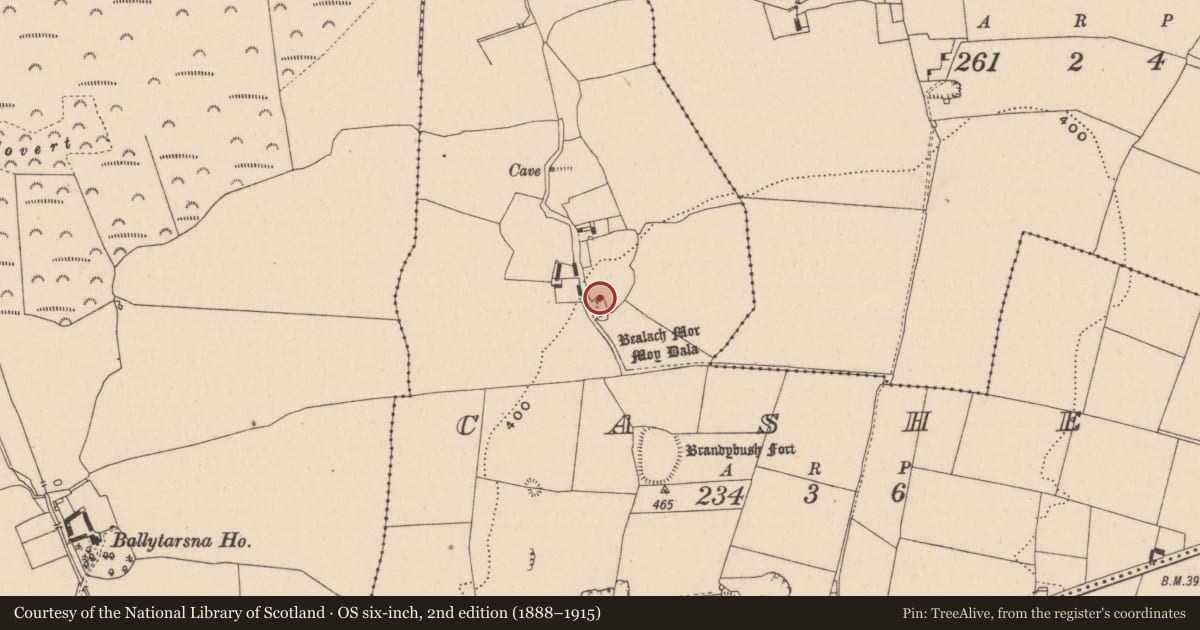 Ordnance Survey six-inch map, 2nd edition (1888–1915) covering the location of Bullaun stone, Cashel, County Laois, with a pin at the register's coordinates