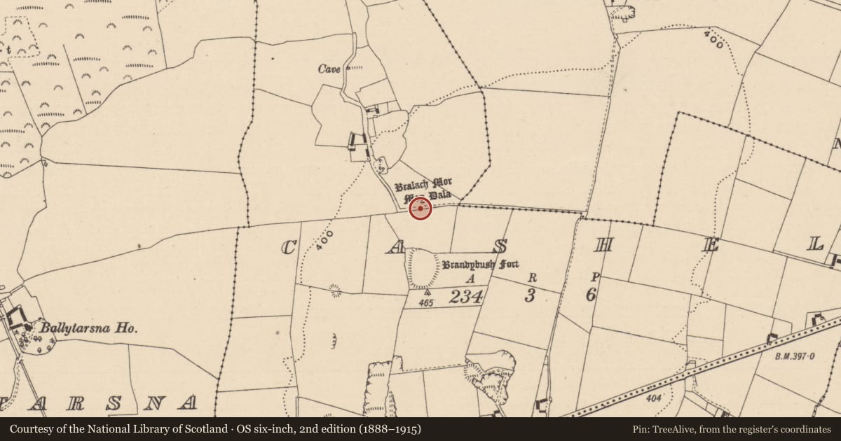 Ordnance Survey six-inch map, 2nd edition (1888–1915) covering the location of Road - road/trackway, Cashel, County Laois, with a pin at the register's coordinates