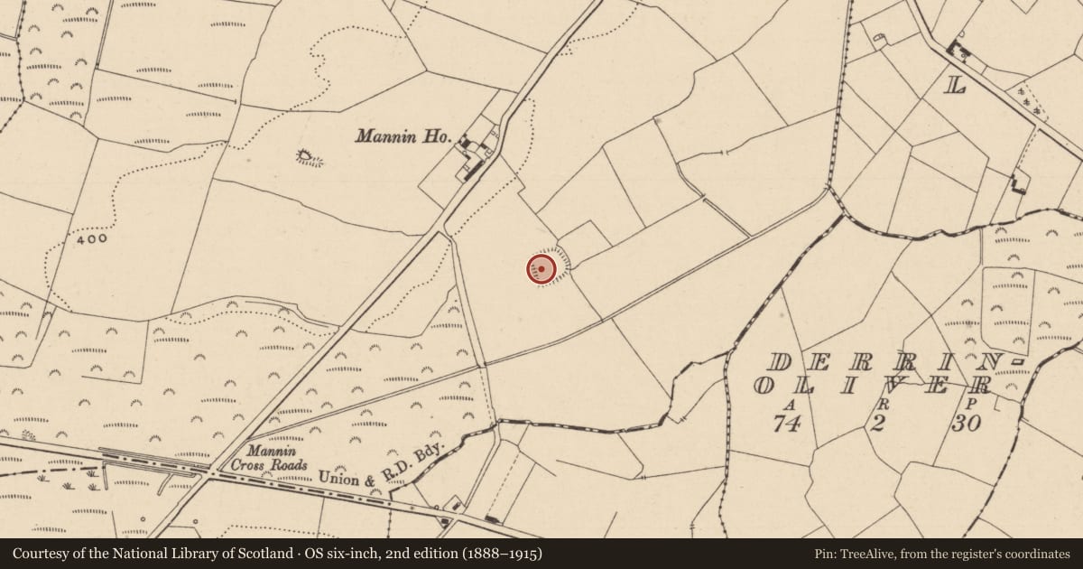 Ordnance Survey six-inch map, 2nd edition (1888–1915) covering the location of Ringfort - rath, Mannin, County Laois, with a pin at the register's coordinates