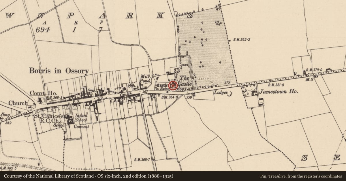 Ordnance Survey six-inch map, 2nd edition (1888–1915) covering the location of Castle - unclassified, Townparks, County Laois, with a pin at the register's coordinates