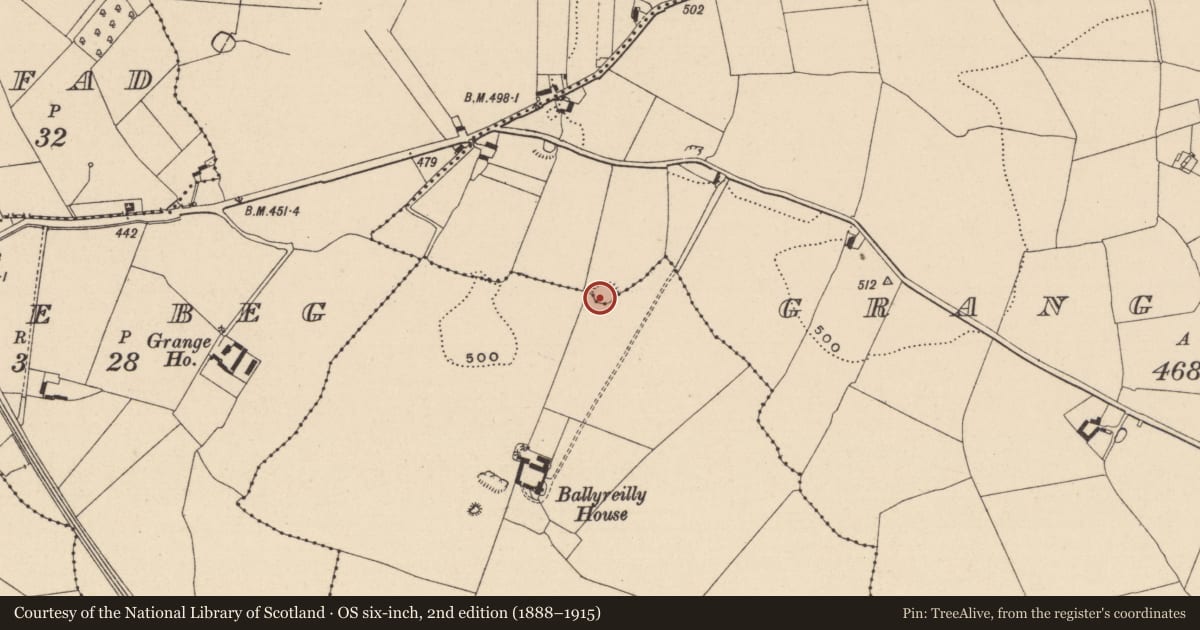 Ordnance Survey six-inch map, 2nd edition (1888–1915) covering the location of Enclosure, Grange More, County Laois, with a pin at the register's coordinates