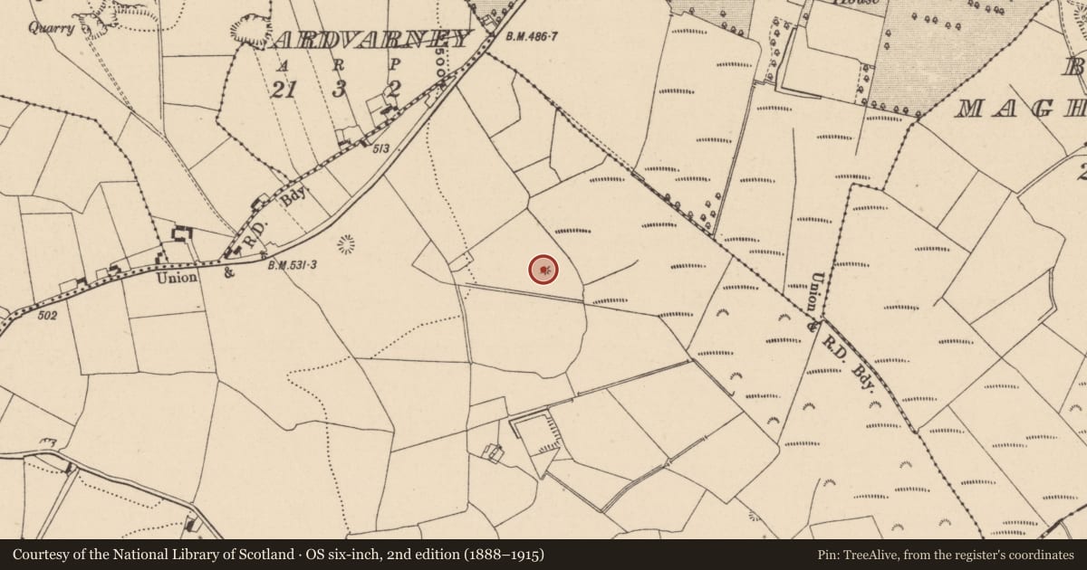 Ordnance Survey six-inch map, 2nd edition (1888–1915) covering the location of Mound, Grange More, County Laois, with a pin at the register's coordinates