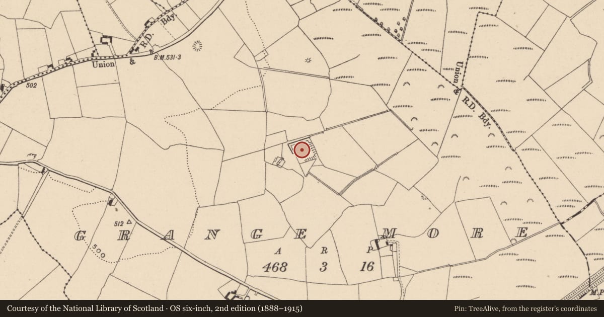 Ordnance Survey six-inch map, 2nd edition (1888–1915) covering the location of Moated site, Grange More, County Laois, with a pin at the register's coordinates