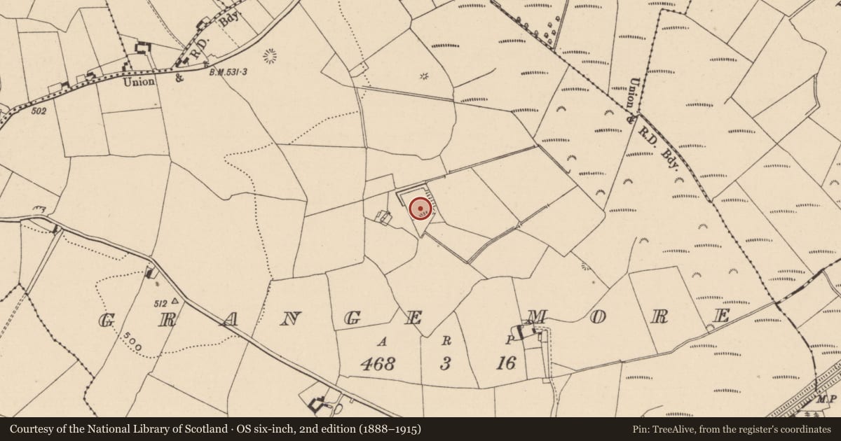 Ordnance Survey six-inch map, 2nd edition (1888–1915) covering the location of House - fortified house, Grange More, County Laois, with a pin at the register's coordinates