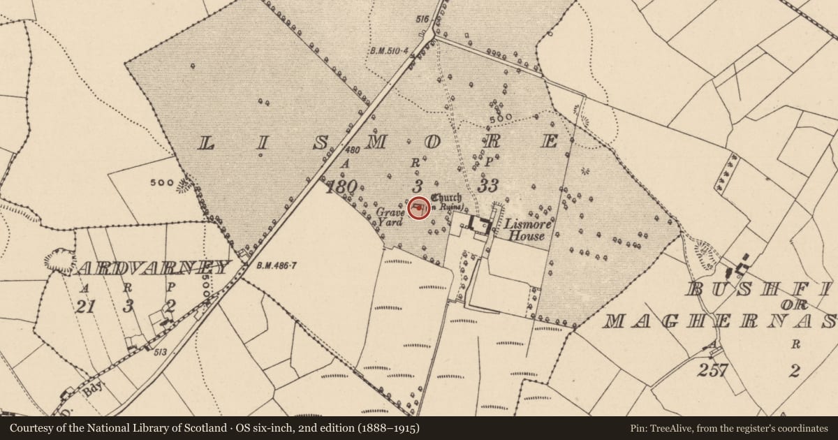 Ordnance Survey six-inch map, 2nd edition (1888–1915) covering the location of Church, Lismore, County Laois, with a pin at the register's coordinates