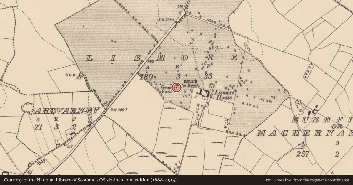 Ordnance Survey six-inch map, 2nd edition (1888–1915) covering the location of Graveyard, Lismore, County Laois, with a pin at the register's coordinates