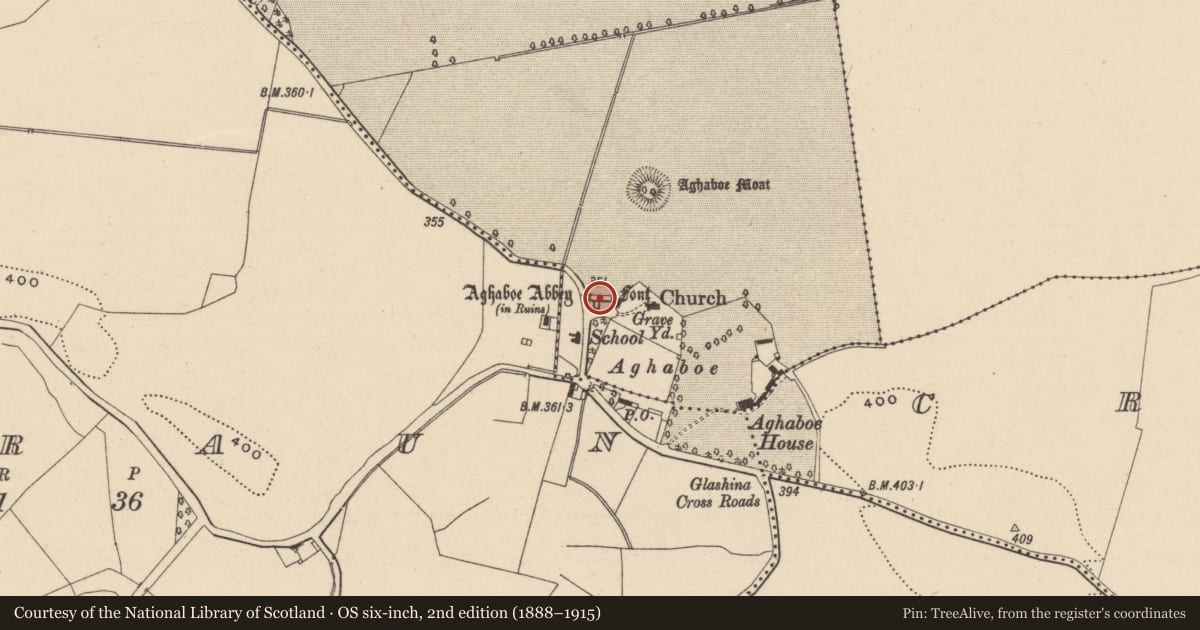 Ordnance Survey six-inch map, 2nd edition (1888–1915) covering the location of Religious house - Dominican friars, Aghaboe, County Laois, with a pin at the register's coordinates