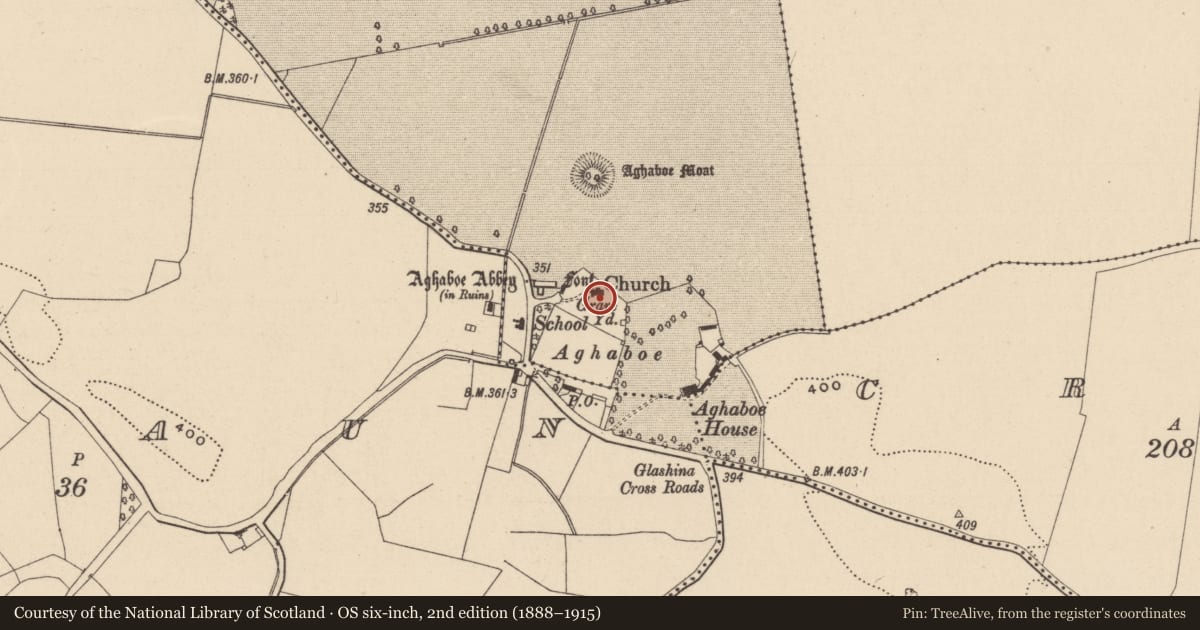 Ordnance Survey six-inch map, 2nd edition (1888–1915) covering the location of Church, Aghaboe, County Laois, with a pin at the register's coordinates