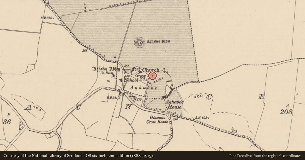 Ordnance Survey six-inch map, 2nd edition (1888–1915) covering the location of Ecclesiastical enclosure, Aghaboe, County Laois, with a pin at the register's coordinates