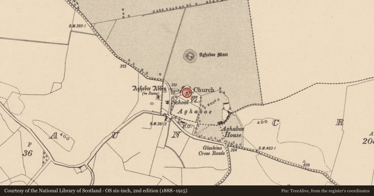Ordnance Survey six-inch map, 2nd edition (1888–1915) covering the location of Font, Aghaboe, County Laois, with a pin at the register's coordinates