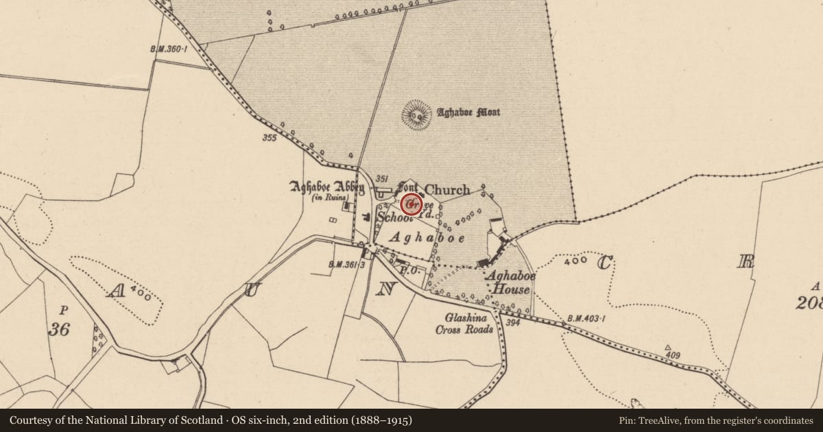 Ordnance Survey six-inch map, 2nd edition (1888–1915) covering the location of Graveslab, Aghaboe, County Laois, with a pin at the register's coordinates