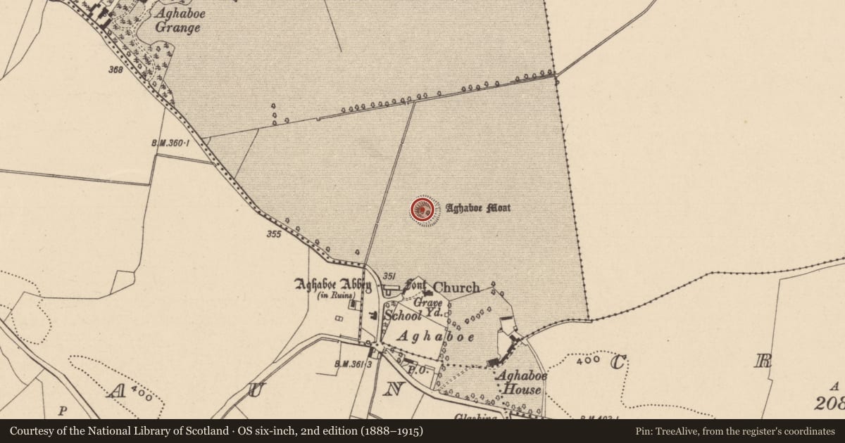 Ordnance Survey six-inch map, 2nd edition (1888–1915) covering the location of Castle - motte and bailey, Aghaboe, County Laois, with a pin at the register's coordinates