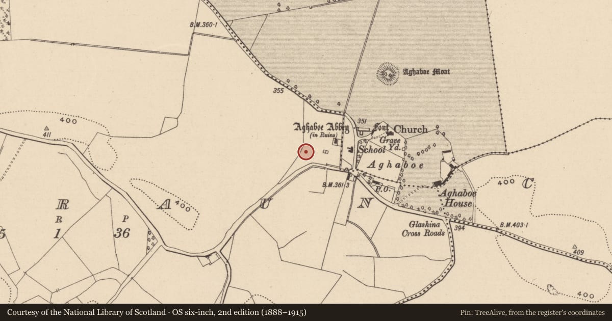 Ordnance Survey six-inch map, 2nd edition (1888–1915) covering the location of Settlement deserted - medieval, Corraun, County Laois, with a pin at the register's coordinates