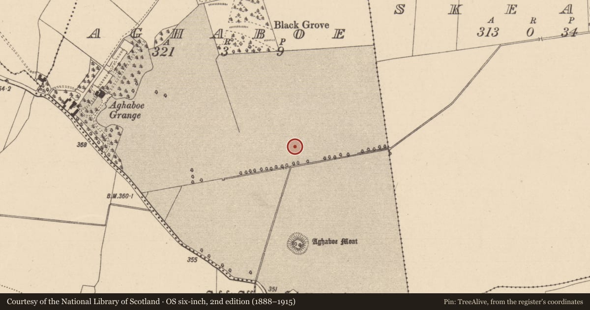 Ordnance Survey six-inch map, 2nd edition (1888–1915) covering the location of Habitation site, Aghaboe, County Laois, with a pin at the register's coordinates