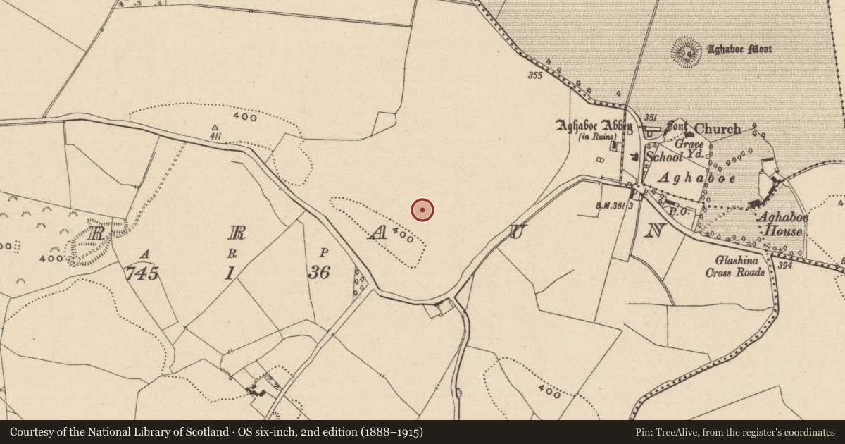 Ordnance Survey six-inch map, 2nd edition (1888–1915) covering the location of Settlement deserted - medieval, Corraun, County Laois, with a pin at the register's coordinates