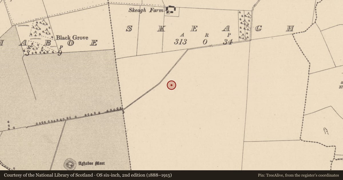 Ordnance Survey six-inch map, 2nd edition (1888–1915) covering the location of Enclosure, Skeagh, County Laois, with a pin at the register's coordinates