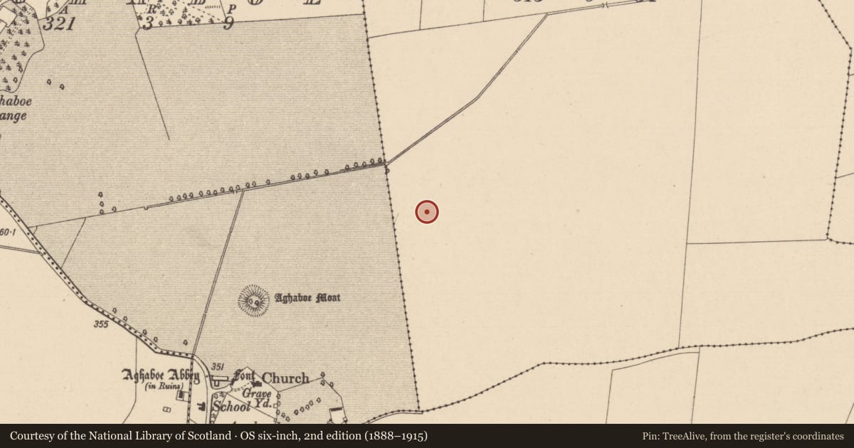 Ordnance Survey six-inch map, 2nd edition (1888–1915) covering the location of Moated site, Skeagh, County Laois, with a pin at the register's coordinates