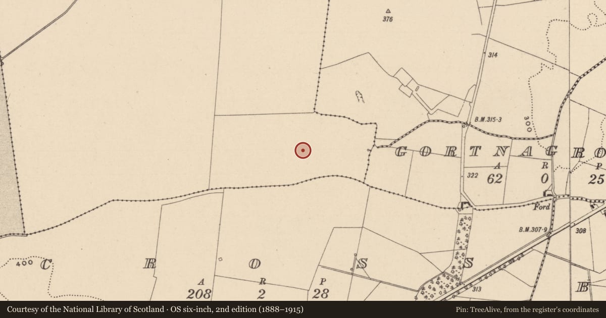 Ordnance Survey six-inch map, 2nd edition (1888–1915) covering the location of Enclosure, Skeagh, County Laois, with a pin at the register's coordinates