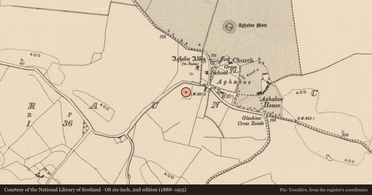 Ordnance Survey six-inch map, 2nd edition (1888–1915) covering the location of Enclosure, Corraun, County Laois, with a pin at the register's coordinates