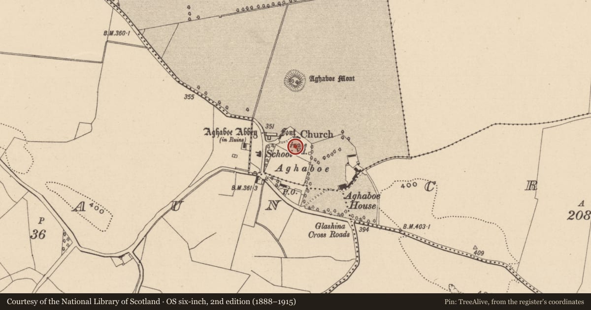 Ordnance Survey six-inch map, 2nd edition (1888–1915) covering the location of Graveyard, Aghaboe, County Laois, with a pin at the register's coordinates