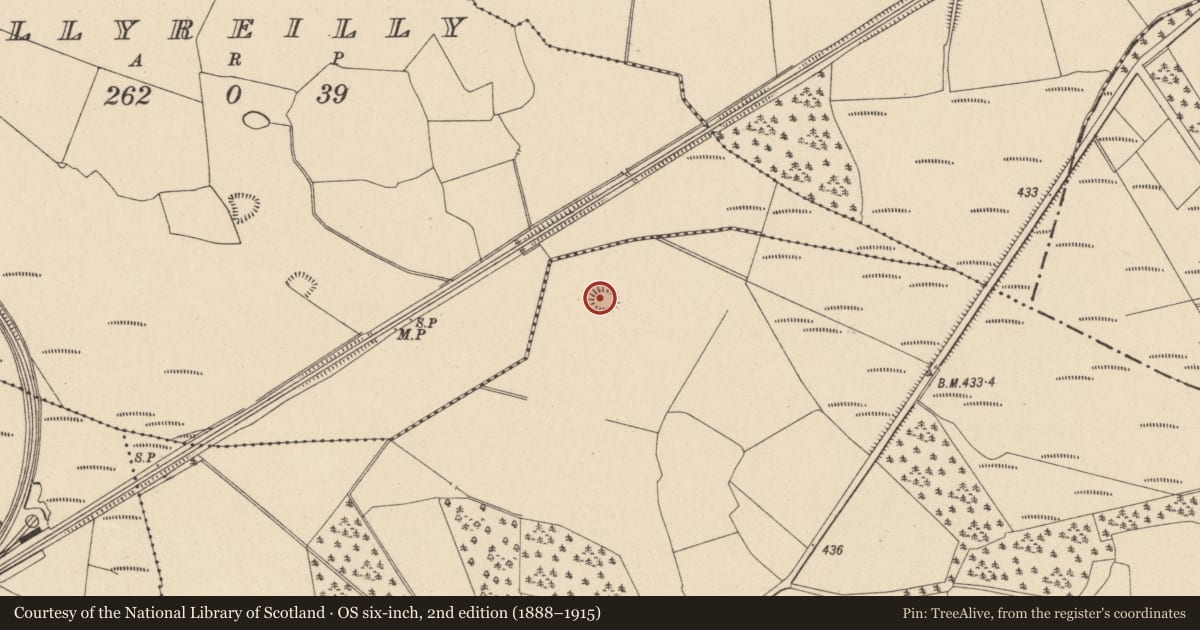Ordnance Survey six-inch map, 2nd edition (1888–1915) covering the location of Ringfort - rath, Kilcoke, County Laois, with a pin at the register's coordinates