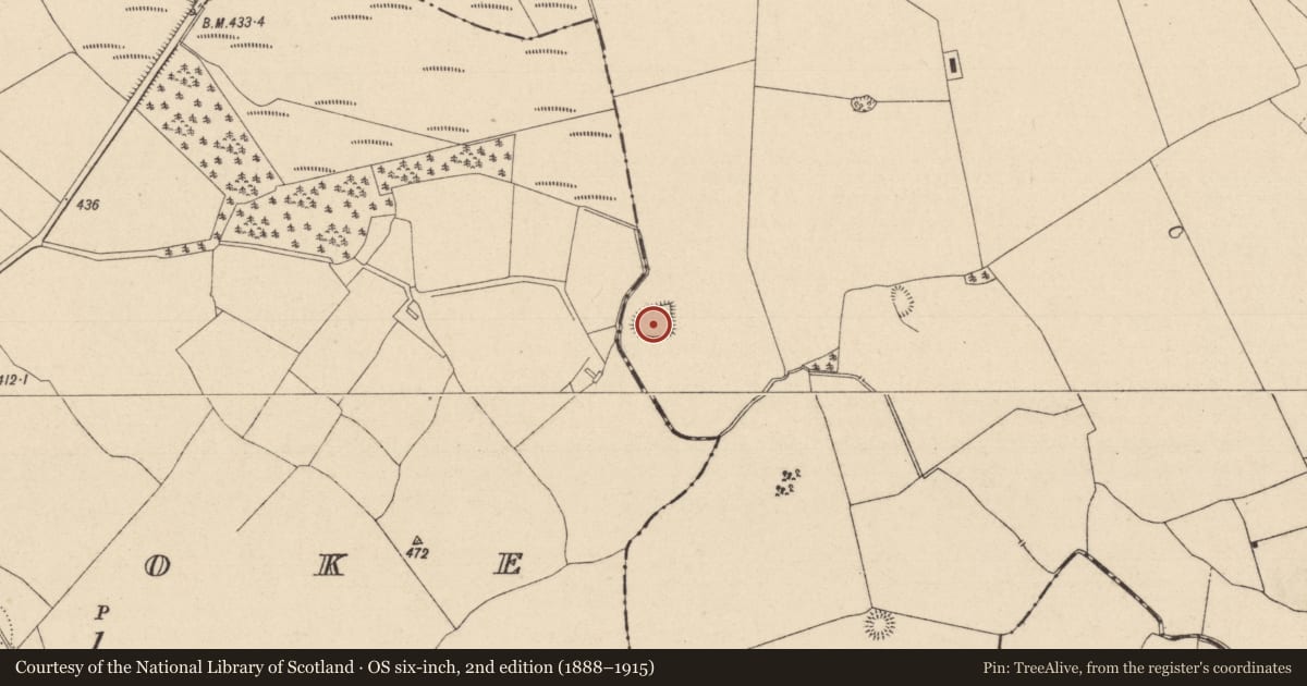 Ordnance Survey six-inch map, 2nd edition (1888–1915) covering the location of Enclosure, Kildellig, County Laois, with a pin at the register's coordinates