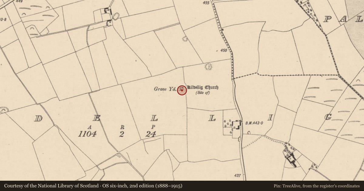 Ordnance Survey six-inch map, 2nd edition (1888–1915) covering the location of Ecclesiastical enclosure, Kildellig, County Laois, with a pin at the register's coordinates
