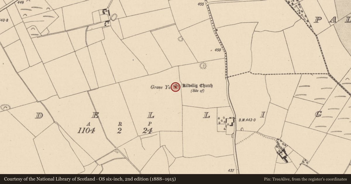 Ordnance Survey six-inch map, 2nd edition (1888–1915) covering the location of Church, Kildellig, County Laois, with a pin at the register's coordinates