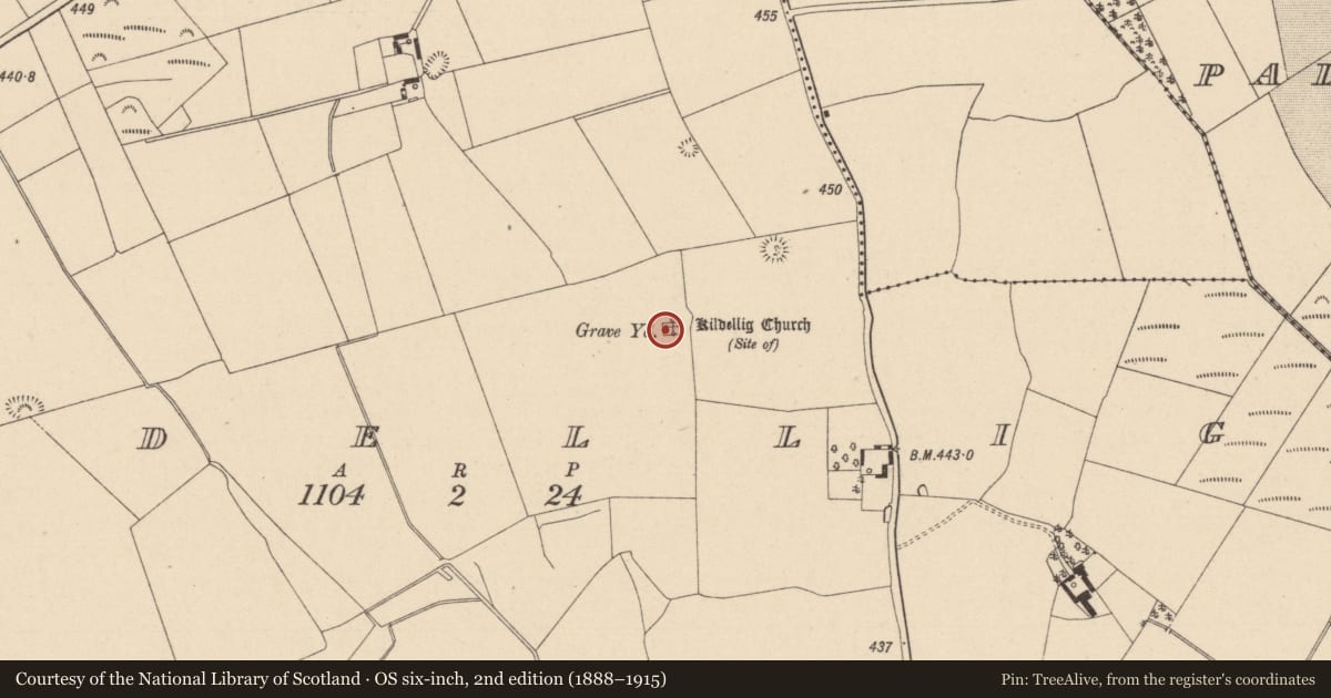 Ordnance Survey six-inch map, 2nd edition (1888–1915) covering the location of Graveyard, Kildellig, County Laois, with a pin at the register's coordinates