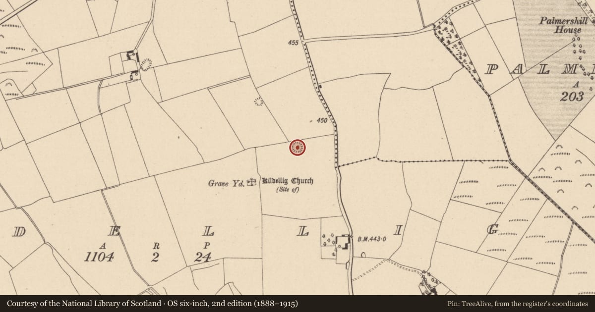 Ordnance Survey six-inch map, 2nd edition (1888–1915) covering the location of Castle - motte, Kildellig, County Laois, with a pin at the register's coordinates