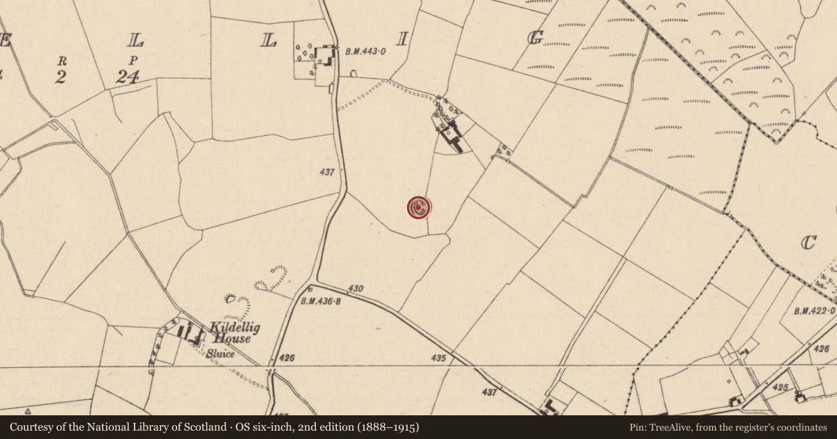Ordnance Survey six-inch map, 2nd edition (1888–1915) covering the location of Ringfort - rath, Kildellig, County Laois, with a pin at the register's coordinates