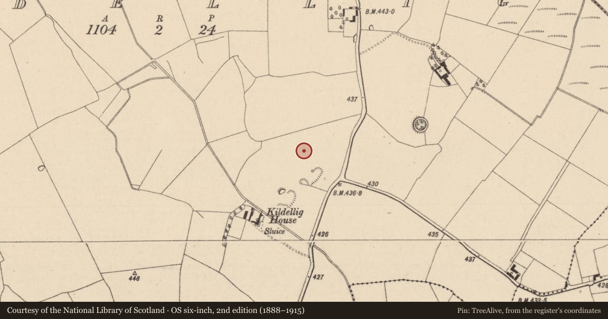 Ordnance Survey six-inch map, 2nd edition (1888–1915) covering the location of Moated site, Kildellig, County Laois, with a pin at the register's coordinates
