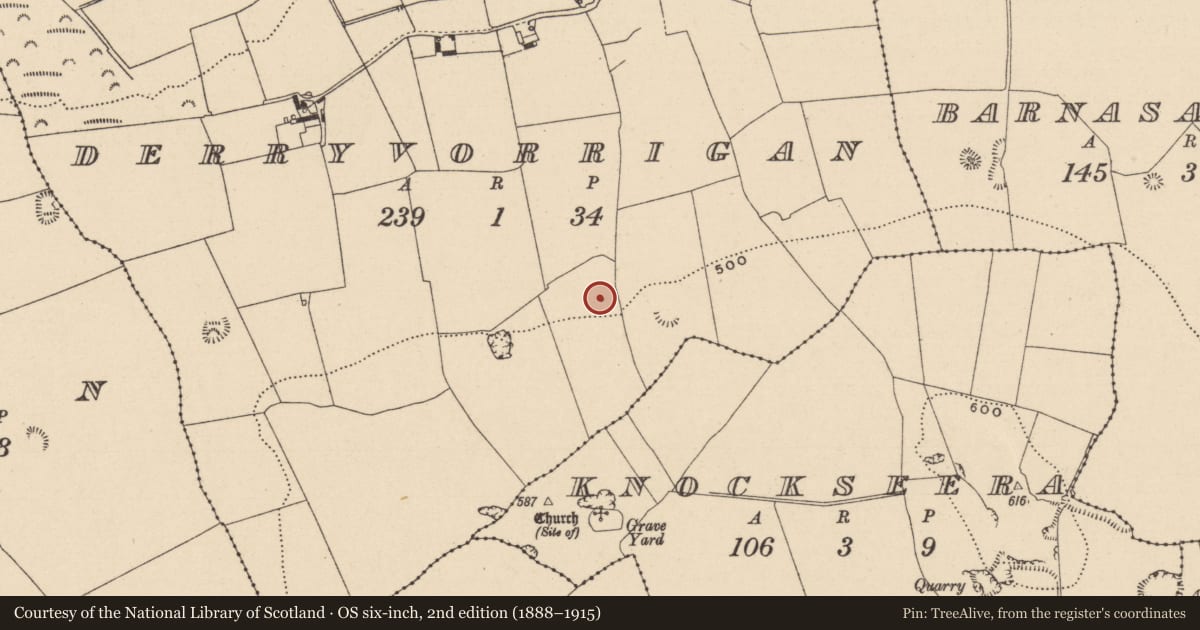 Ordnance Survey six-inch map, 2nd edition (1888–1915) covering the location of Ritual site - holy well, Derryvorrigan, County Laois, with a pin at the register's coordinates