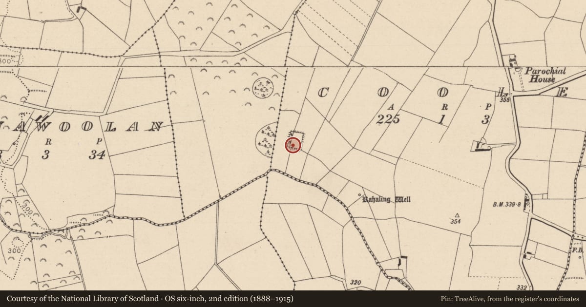 Ordnance Survey six-inch map, 2nd edition (1888–1915) covering the location of Moated site, Coole, County Laois, with a pin at the register's coordinates