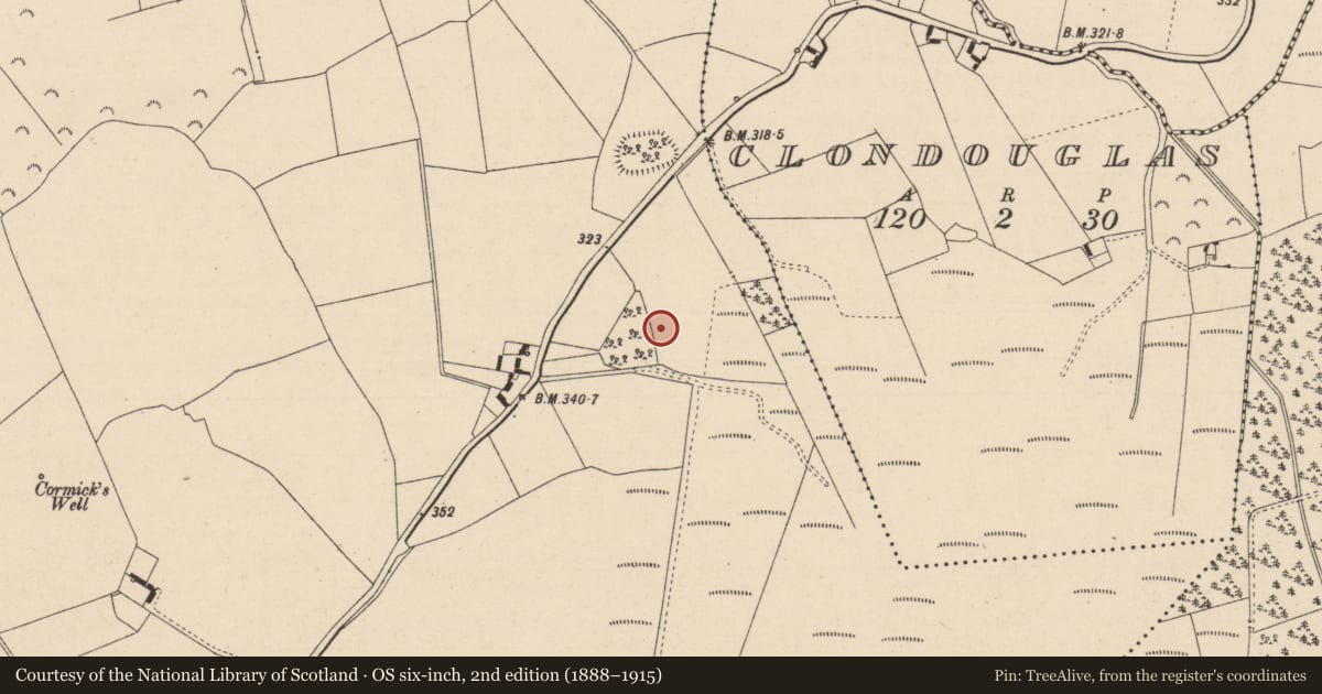 Ordnance Survey six-inch map, 2nd edition (1888–1915) covering the location of Enclosure, Derrykearn, County Laois, with a pin at the register's coordinates