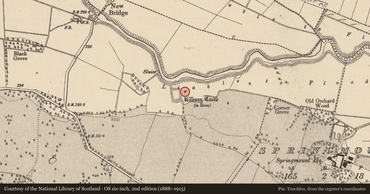 Ordnance Survey six-inch map, 2nd edition (1888–1915) covering the location of Castle - tower house, Killeany, County Laois, with a pin at the register's coordinates