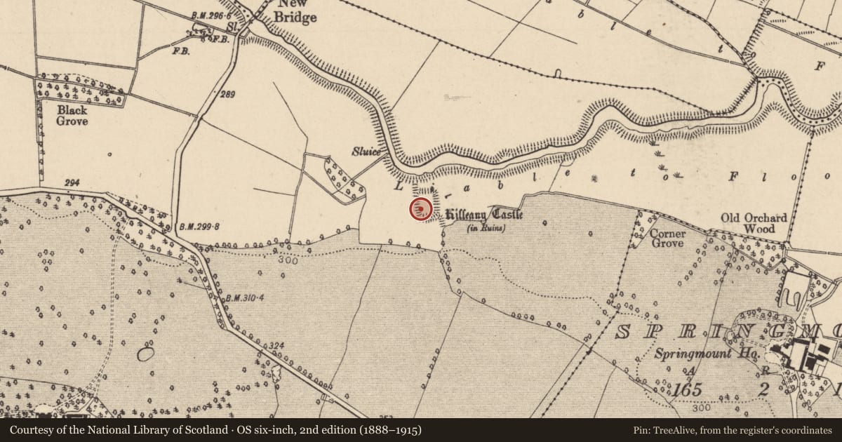 Ordnance Survey six-inch map, 2nd edition (1888–1915) covering the location of Moated site, Killeany, County Laois, with a pin at the register's coordinates