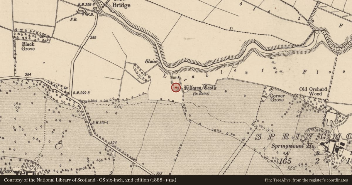 Ordnance Survey six-inch map, 2nd edition (1888–1915) covering the location of Burial ground, Killeany, County Laois, with a pin at the register's coordinates