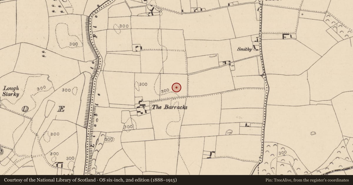 Ordnance Survey six-inch map, 2nd edition (1888–1915) covering the location of Ringfort - rath, Cappanacloghy, County Laois, with a pin at the register's coordinates