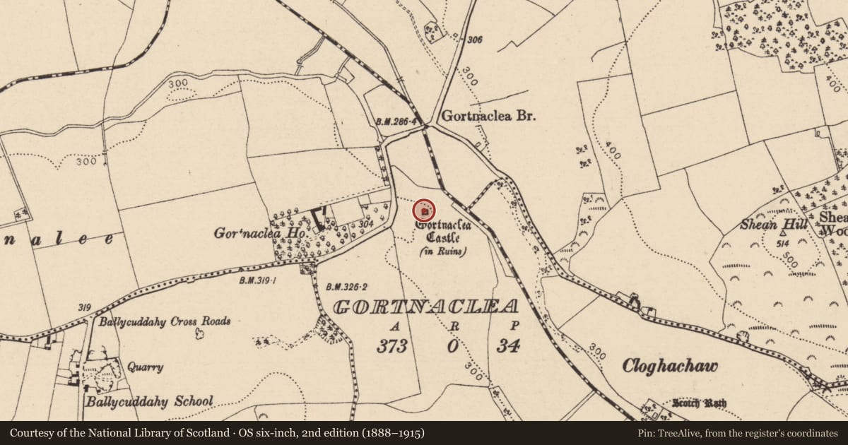 Ordnance Survey six-inch map, 2nd edition (1888–1915) covering the location of Castle - tower house, Gortnaclea, County Laois, with a pin at the register's coordinates