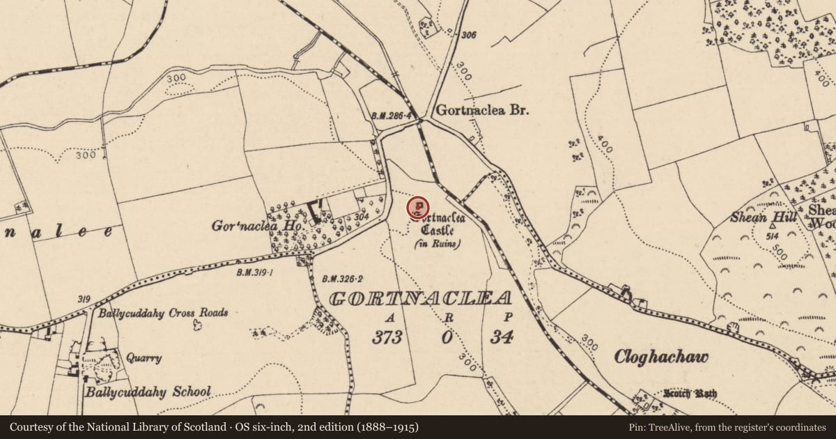 Ordnance Survey six-inch map, 2nd edition (1888–1915) covering the location of Bawn, Gortnaclea, County Laois, with a pin at the register's coordinates
