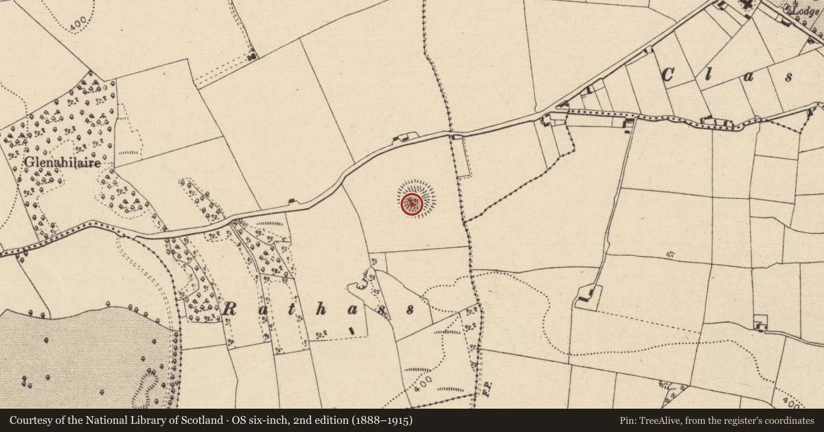 Ordnance Survey six-inch map, 2nd edition (1888–1915) covering the location of Ringfort - rath, Killeany, County Laois, with a pin at the register's coordinates