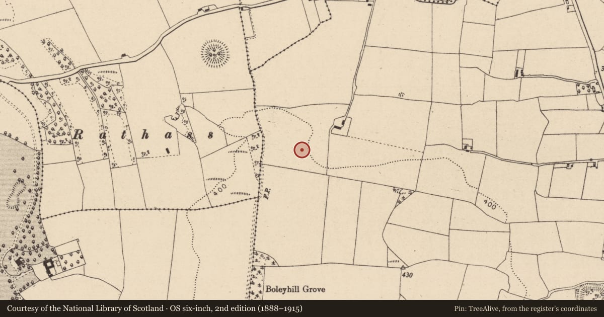 Ordnance Survey six-inch map, 2nd edition (1888–1915) covering the location of Linear earthwork, Boley Upper, County Laois, with a pin at the register's coordinates