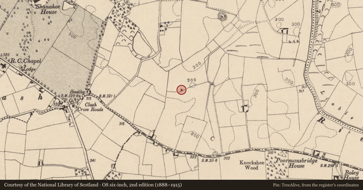 Ordnance Survey six-inch map, 2nd edition (1888–1915) covering the location of Urn burial, Shanahoe, County Laois, with a pin at the register's coordinates