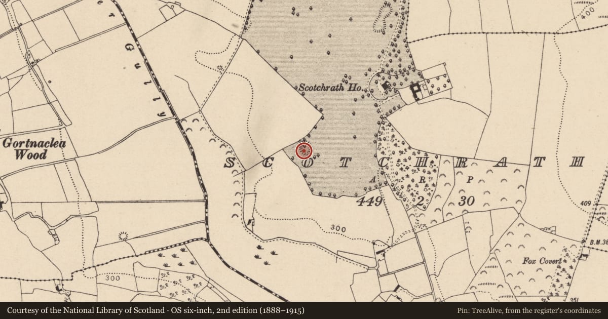 Ordnance Survey six-inch map, 2nd edition (1888–1915) covering the location of Enclosure, Scotchrath, County Laois, with a pin at the register's coordinates