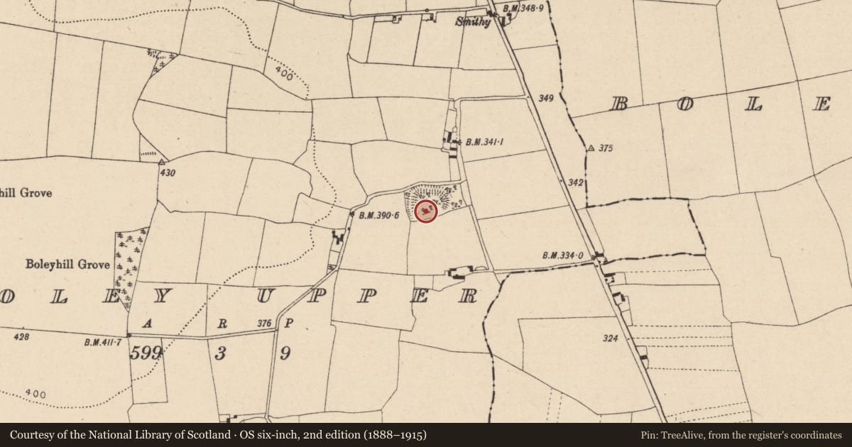 Ordnance Survey six-inch map, 2nd edition (1888–1915) covering the location of Hilltop enclosure, Boley Upper, County Laois, with a pin at the register's coordinates