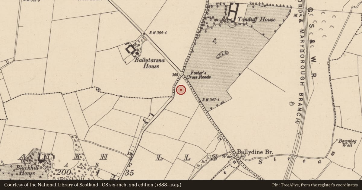 Ordnance Survey six-inch map, 2nd edition (1888–1915) covering the location of Enclosure, Blackhills, County Laois, with a pin at the register's coordinates