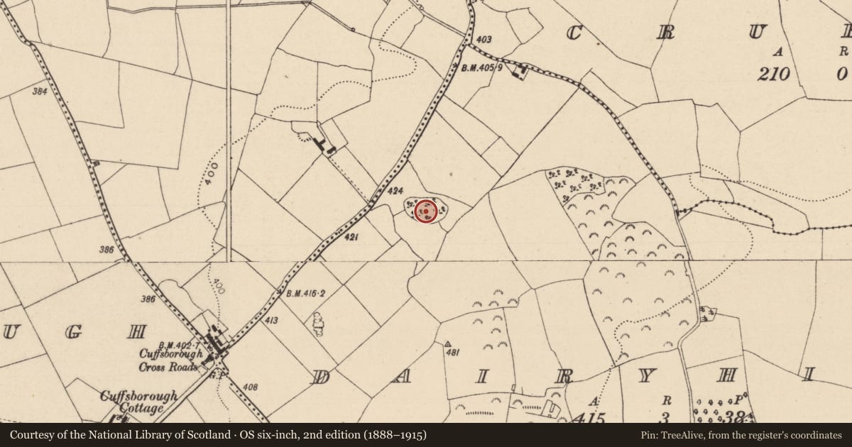 Ordnance Survey six-inch map, 2nd edition (1888–1915) covering the location of Enclosure, Dairyhill, County Laois, with a pin at the register's coordinates